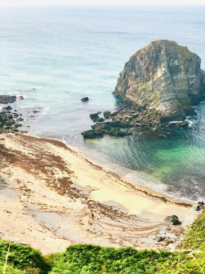 The Cliffs - The Painted Mill Guest House Porto do Barqueiro Bagian luar foto